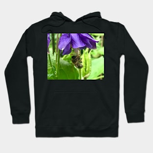 One Columbine with Honey Bee Hoodie